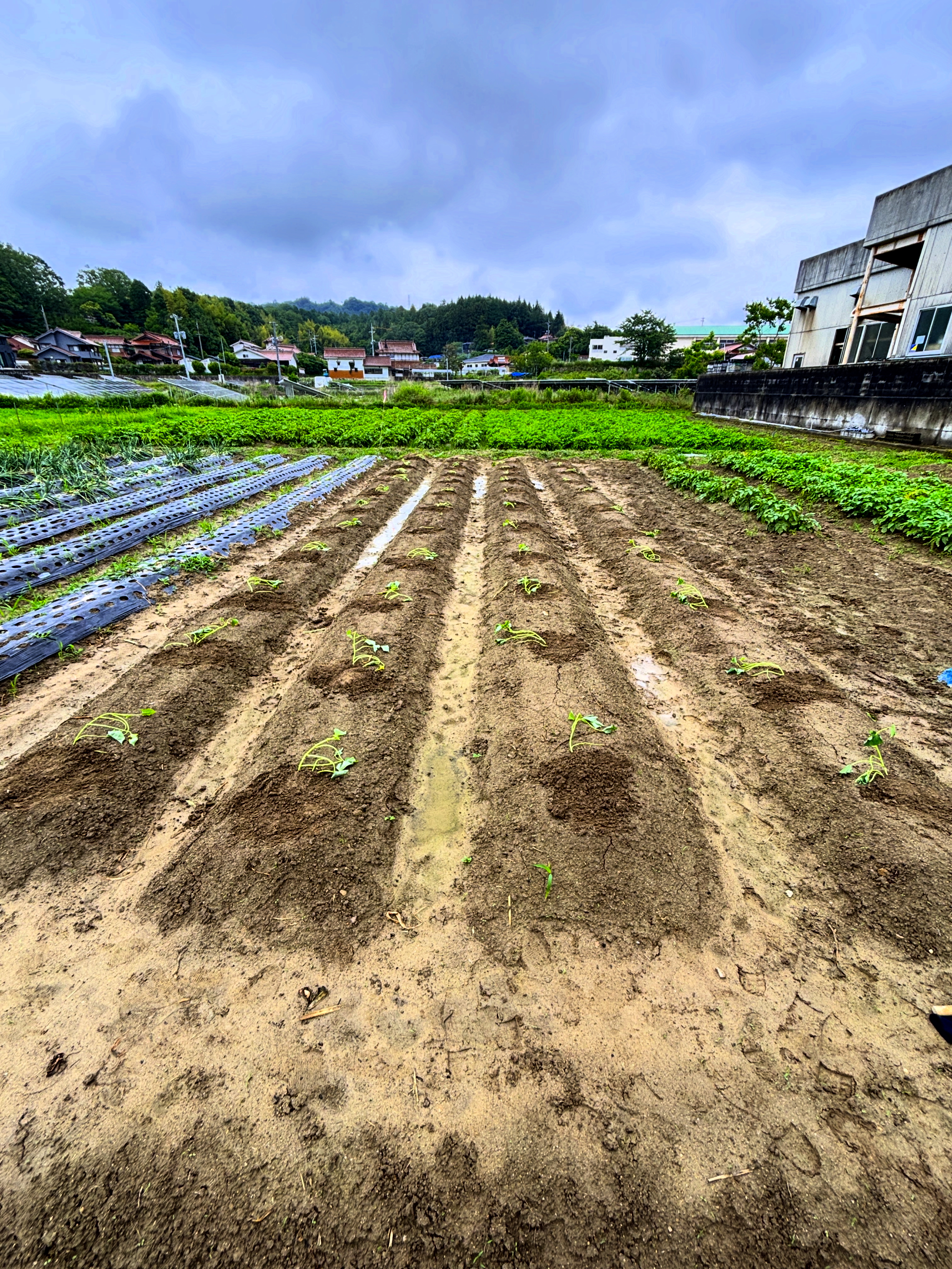 B1175542-678E-4D2A-BAE4-27129D6202B8